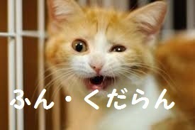 kaiten2.jpg