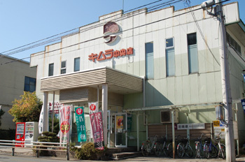 kimura.jpg