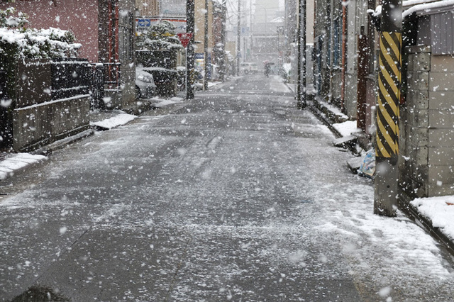 snow.jpg