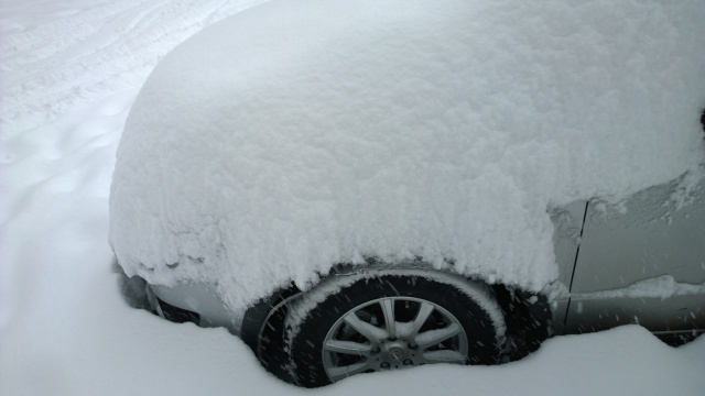 snow.jpg