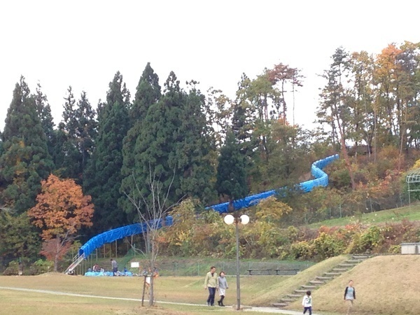 w2.jpg